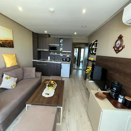 One Bedroom Private Paradiso B 501 Apartment